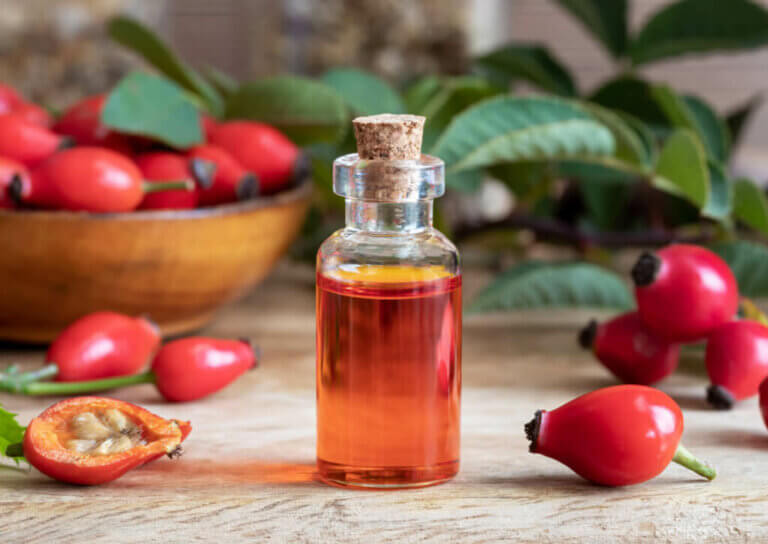 The Health Benefits of Rosehip