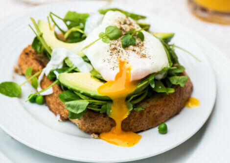 Whole grain toast with a poached egg and avocado slices