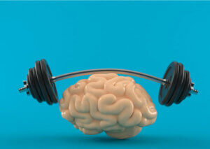 Can Physical Activity Stimulate the Brain?