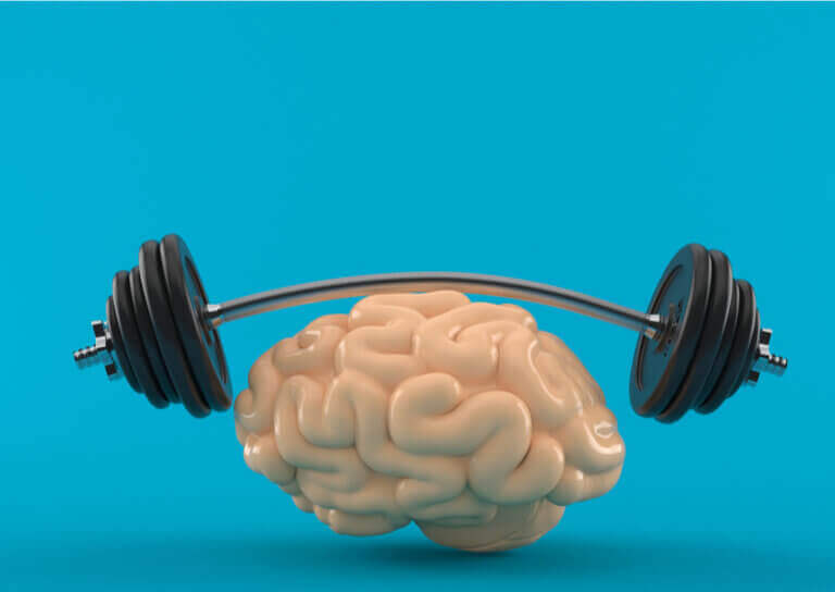 Can Physical Activity Stimulate the Brain?