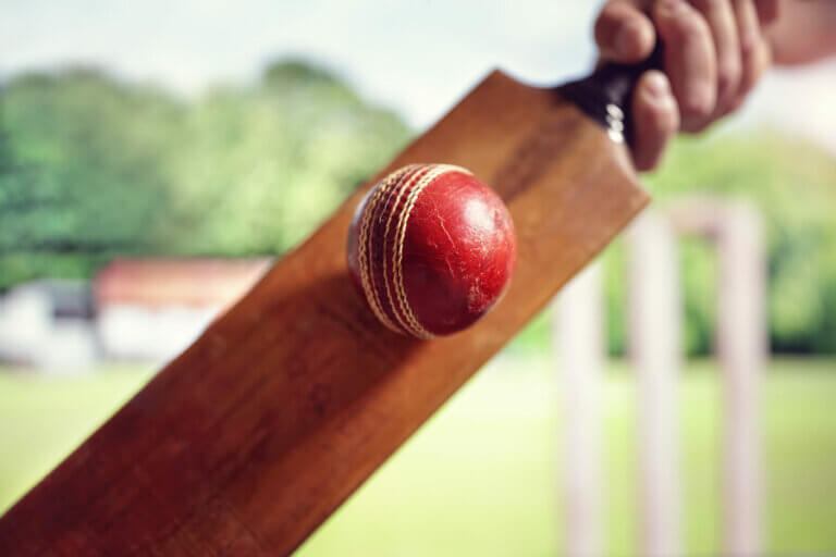 Learn How to Play Cricket