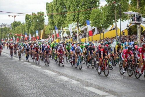 Cyclists in the Tour de France.