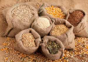 Protein seeds