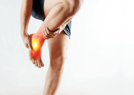 Inflamed areas of the body will show up red on thermal imaging.