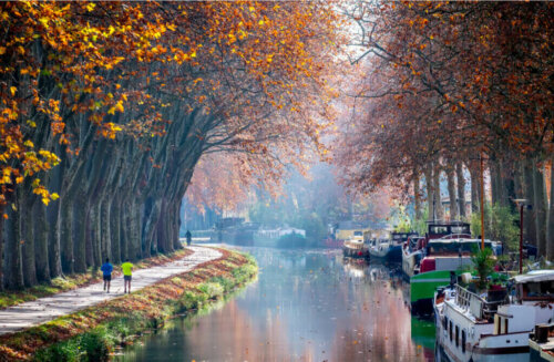4 Spots to Play Sports in Toulouse