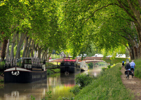 Cycling along the Canal du Midi.