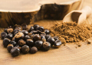 What Are the Properties of Guarana?