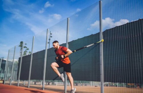 TRX Routines for Beginners