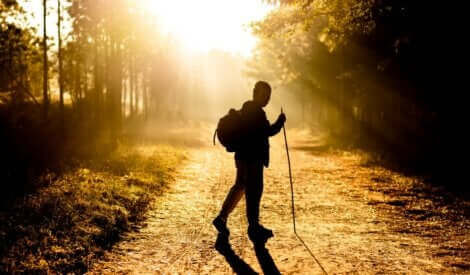 A man walking in a forest.