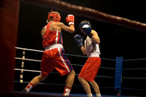 6 Basic Rules of Boxing